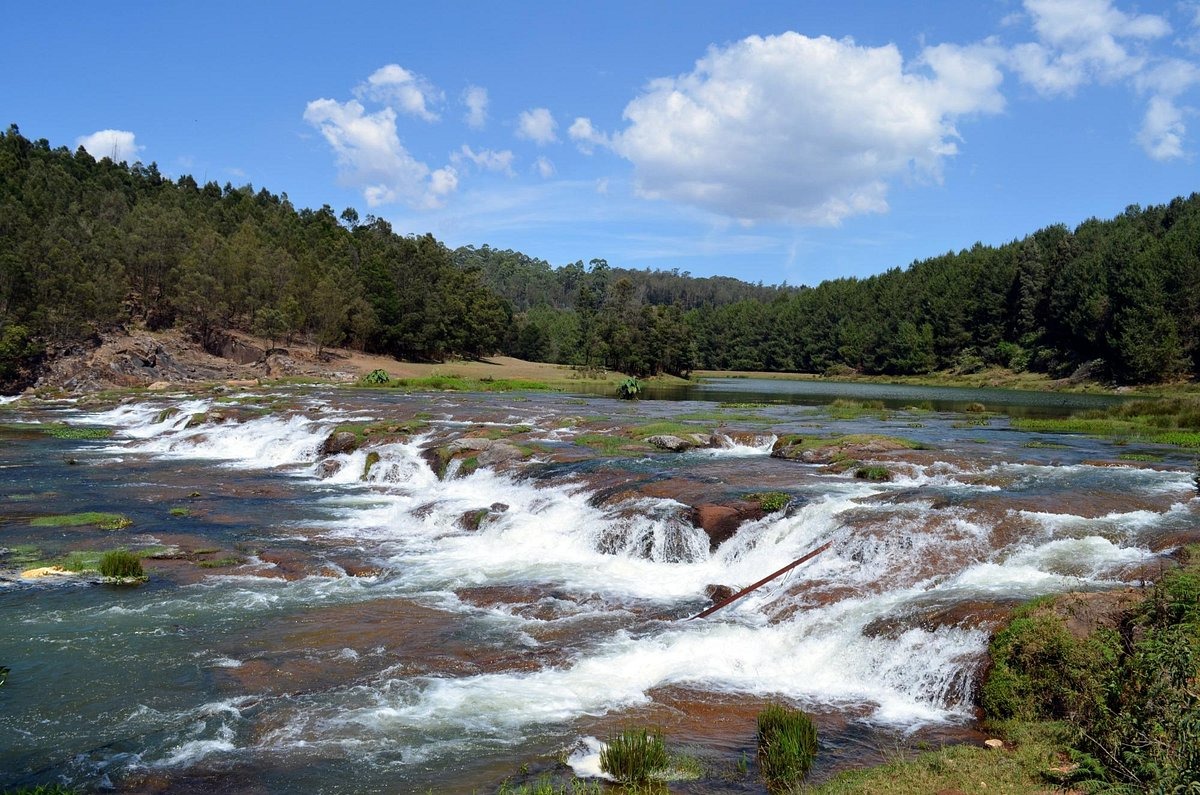 Day 03 : Ooty
